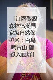 江西婺源森林鸟类国家级自然保护区：百鸟鸣青山 翩跹入画屏
