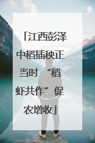 江西彭泽中稻插秧正当时 “稻虾共作”促农增收