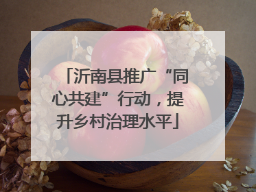 沂南县推广“同心共建”行动，提升乡村治理水平
