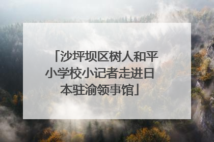 沙坪坝区树人和平小学校小记者走进日本驻渝领事馆