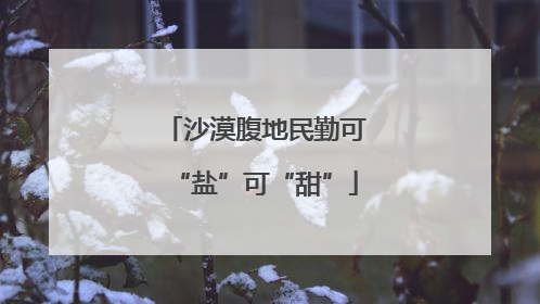 沙漠腹地民勤可“盐”可“甜”