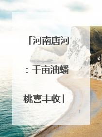 河南唐河：千亩油蟠桃喜丰收