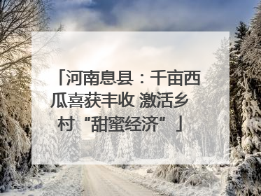 河南息县：千亩西瓜喜获丰收 激活乡村“甜蜜经济”