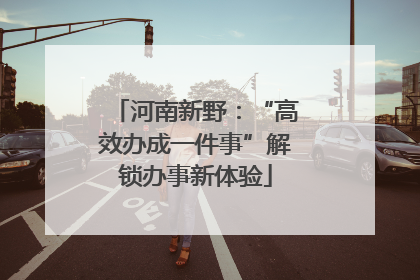河南新野：“高效办成一件事”解锁办事新体验