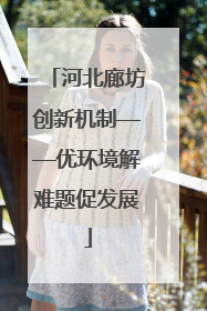 河北廊坊创新机制——优环境解难题促发展