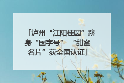 泸州“江阳桂圆”跻身“国字号” “甜蜜名片”获全国认证