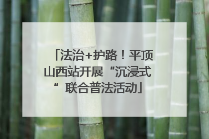 法治+护路！平顶山西站开展“沉浸式”联合普法活动
