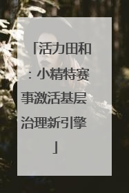 活力田和：小精特赛事激活基层治理新引擎