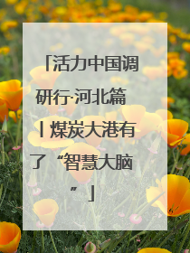 活力中国调研行·河北篇丨煤炭大港有了“智慧大脑”