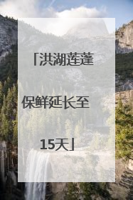 洪湖莲蓬保鲜延长至15天
