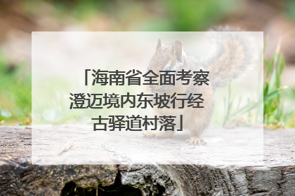 海南省全面考察澄迈境内东坡行经古驿道村落