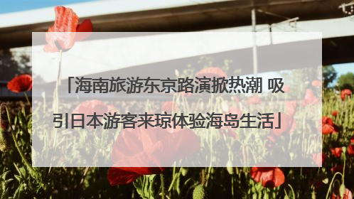 海南旅游东京路演掀热潮 吸引日本游客来琼体验海岛生活