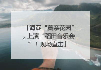 海淀“莫奈花园”，上演“稻田音乐会”！现场直击
