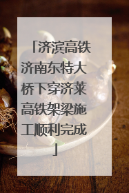 济滨高铁济南东特大桥下穿济莱高铁架梁施工顺利完成