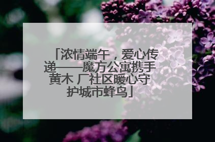 浓情端午，爱心传递——魔方公寓携手黄木 厂社区暖心守护城市蜂鸟