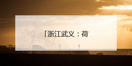 浙江武义：荷花产业助致富