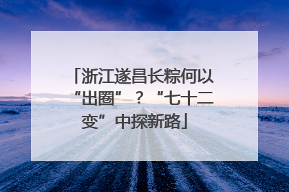 浙江遂昌长粽何以“出圈”？“七十二变”中探新路