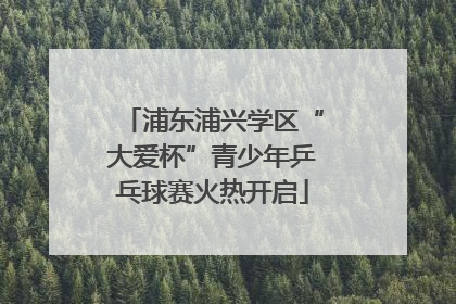 浦东浦兴学区“大爱杯”青少年乒乓球赛火热开启