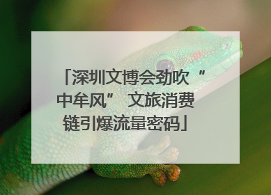 深圳文博会劲吹“中牟风” 文旅消费链引爆流量密码