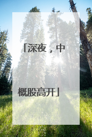 深夜，中概股高开