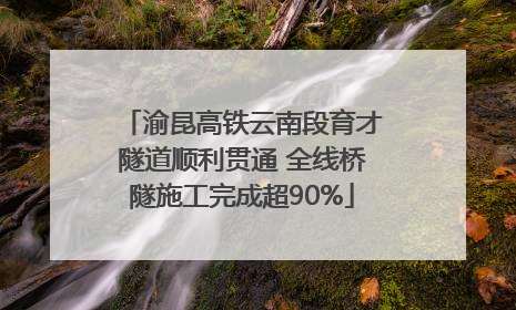 渝昆高铁云南段育才隧道顺利贯通 全线桥隧施工完成超90%