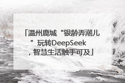 温州鹿城“银龄弄潮儿”玩转DeepSeek，智慧生活触手可及