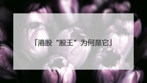 港股“股王”为何是它