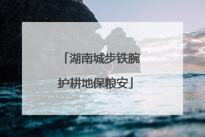 湖南城步铁腕护耕地保粮安