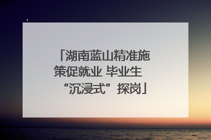 湖南蓝山精准施策促就业 毕业生“沉浸式”探岗