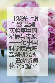 湖光“链”影 盐湖实验室里的星辰与荒原——记中国科学院青海盐湖研究所，盐湖资源化学实验室党总支书记、副主任刘忠