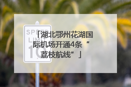 湖北鄂州花湖国际机场开通4条“荔枝航线”