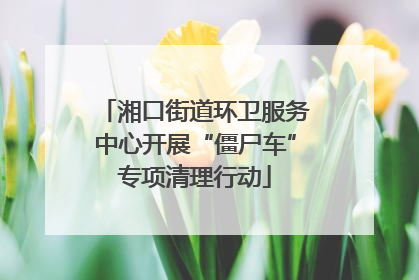 湘口街道环卫服务中心开展“僵尸车”专项清理行动