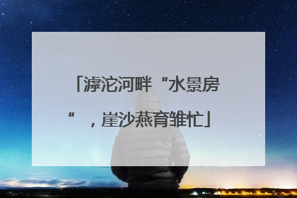 滹沱河畔“水景房”，崖沙燕育雏忙