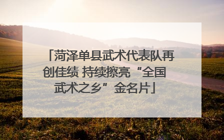 菏泽单县武术代表队再创佳绩 持续擦亮“全国武术之乡”金名片