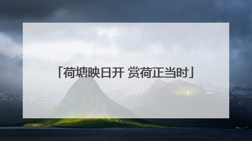 荷塘映日开 赏荷正当时