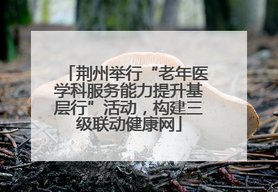 荆州举行“老年医学科服务能力提升基层行”活动，构建三级联动健康网