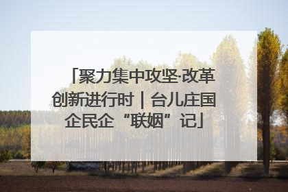 聚力集中攻坚·改革创新进行时｜台儿庄国企民企“联姻”记