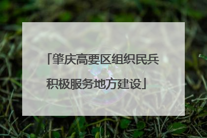 肇庆高要区组织民兵积极服务地方建设