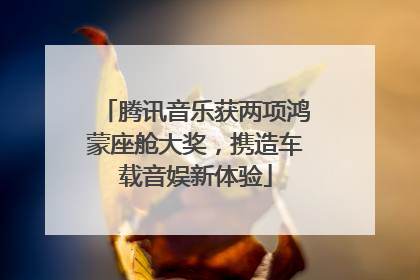 腾讯音乐获两项鸿蒙座舱大奖，携造车载音娱新体验