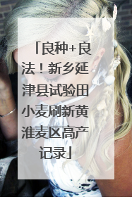 良种+良法！新乡延津县试验田小麦刷新黄淮麦区高产记录