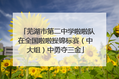 芜湖市第二中学啦啦队在全国啦啦操锦标赛（中大组）中勇夺三金