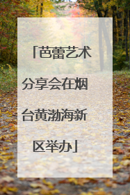 芭蕾艺术分享会在烟台黄渤海新区举办