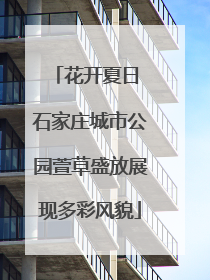 花开夏日 石家庄城市公园萱草盛放展现多彩风貌
