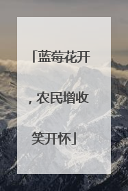 蓝莓花开，农民增收笑开怀