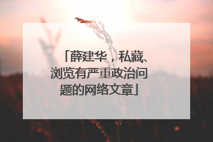 薛建华，私藏、浏览有严重政治问题的网络文章