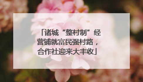 诸城“整村制”经营铺就富民强村路，合作社迎来大丰收