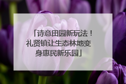 诗意田园新玩法！礼贤镇让生态林地变身惠民新乐园