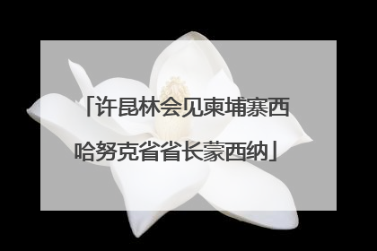 许昆林会见柬埔寨西哈努克省省长蒙西纳