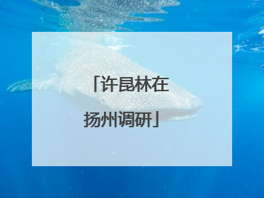 许昆林在扬州调研