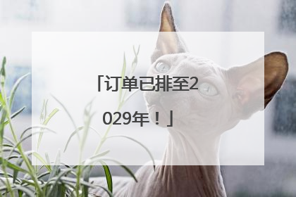 订单已排至2029年！